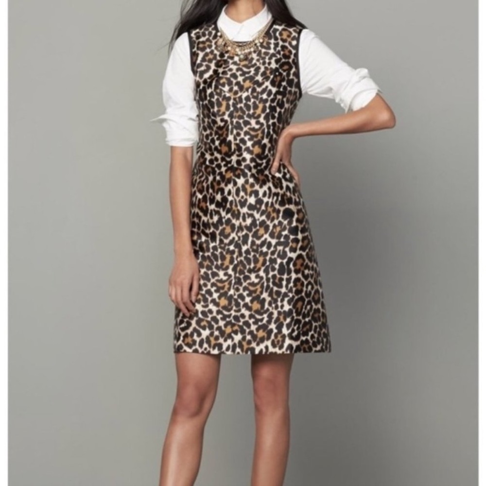 J. Crew Leopard Print Shift Dress Size 6